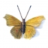 small yellow butterfly, hand painted